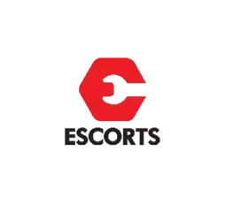 major client - Escort
